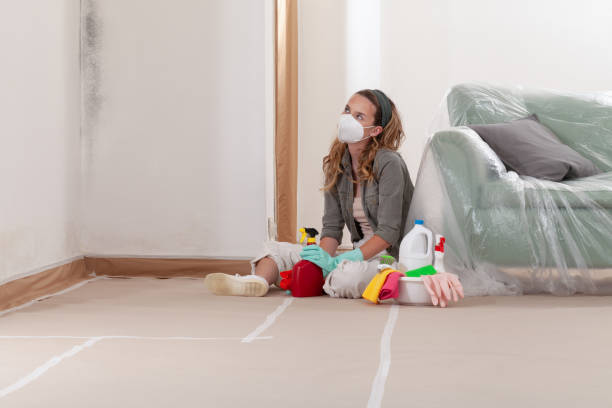 Reliable Commercial Mold Remediation contractor in Cockeysville, MD by Car Mold Remediation